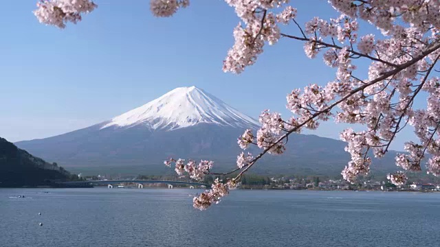 富士山上的川口湖和樱花视频素材