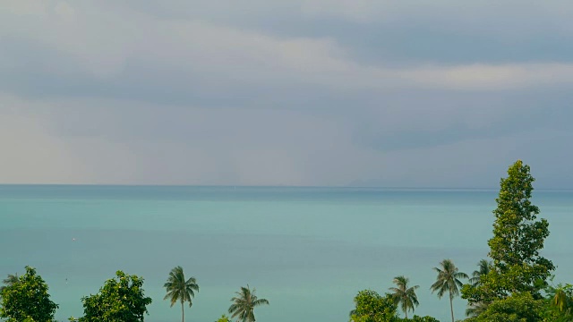 异国情调的椰子树在风中摇曳。热带海洋风景。田园诗般的天堂岛海滩。视频素材