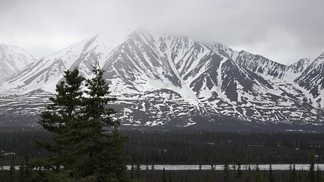 阿拉斯加的雪山和云杉视频素材