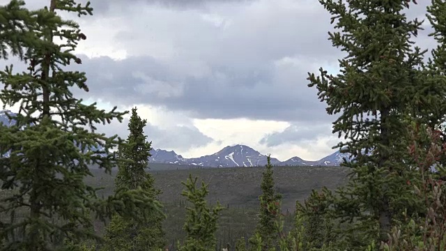 阿拉斯加，高山，树木，放大视频素材