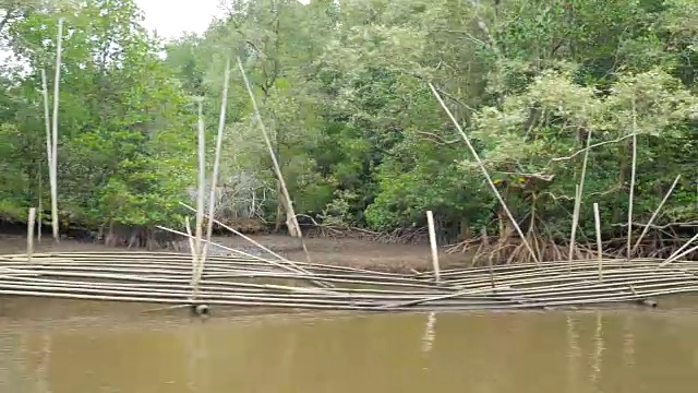 船观近河口红树林，保护海洋自然环境视频素材