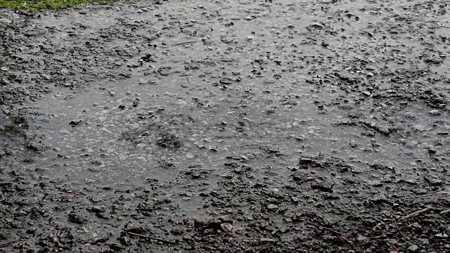 路上大雨的特写镜头/雨路视频素材