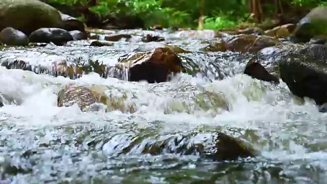 森林小溪流过岩石视频素材