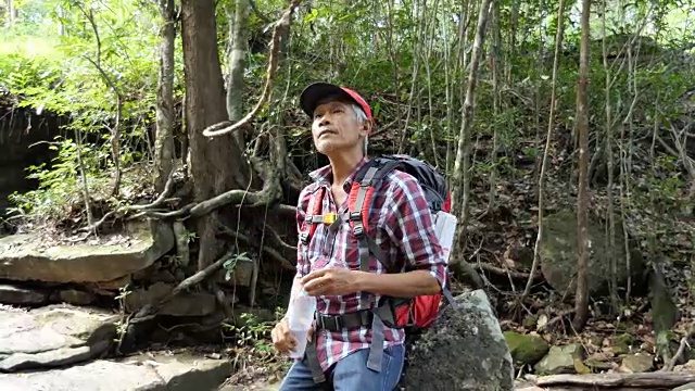 在森林里背着背包的资深徒步旅行者视频素材