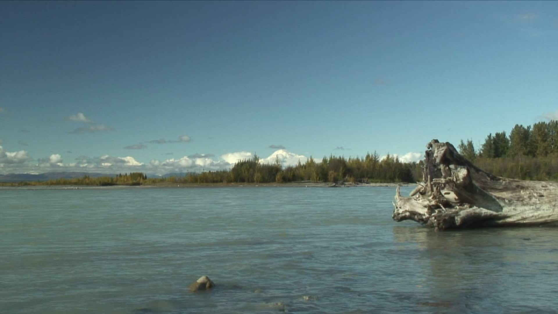 WS ZI CU河与麦金利山在远处/ Talkeetna，阿拉斯加，美国视频素材