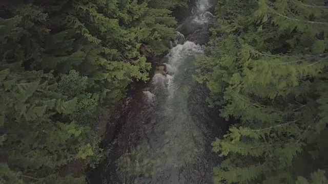 无人机拍摄的河流和瀑布在森林，西摩山，温哥华，加拿大不列颠哥伦比亚省视频素材