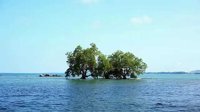 树木在安达曼海的景色在夏季的季节，泰国普吉岛视频素材