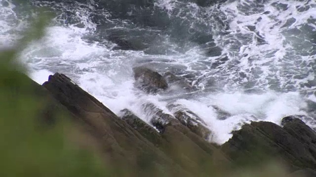 爱尔兰科克郡，植被和汹涌的海水之间的焦点。视频素材