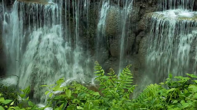 森林中的淡水瀑布视频素材