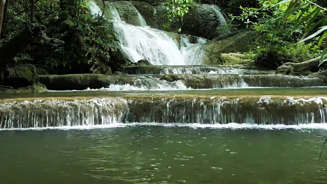 森林中的淡水瀑布视频素材