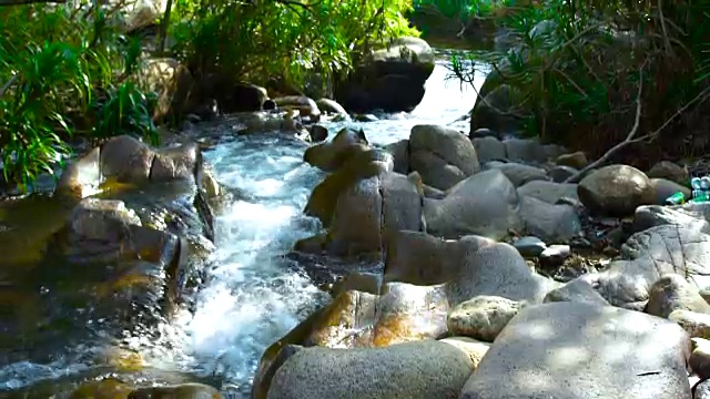 快速流动透明的水在岩石河在热带森林近距离。山河水流湍急视频素材