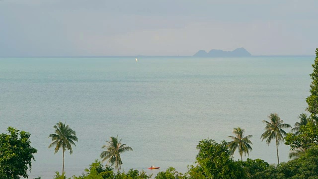 异国情调的椰子树在风中摇曳。热带海洋风景。田园诗般的天堂岛海滩。视频素材