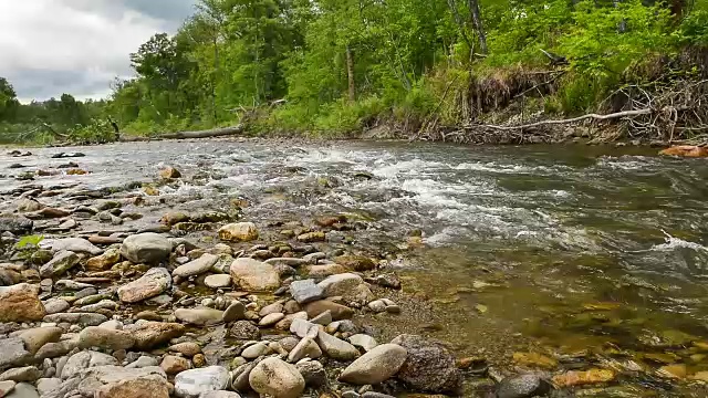 寒冷的山溪在森林中流淌视频下载