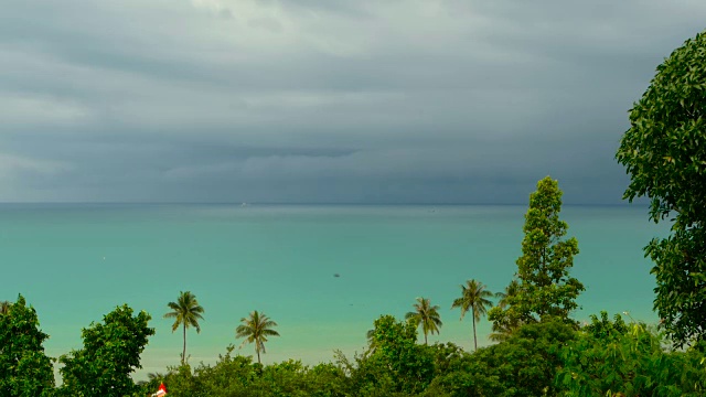 天堂岛异国情调的海滩，热带植物在雨前随风摇摆视频素材