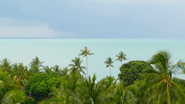 热带海岸有异国情调的椰子树和蔚蓝的海水视频素材