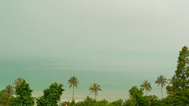 天堂岛异国情调的海滩，热带植物在雨前随风摇摆视频素材