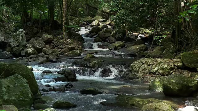 热带雨林小溪在天然桥视频素材