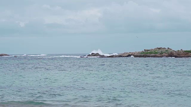 科西嘉海岸的海浪和美丽的自然在阴天的慢镜头视频素材