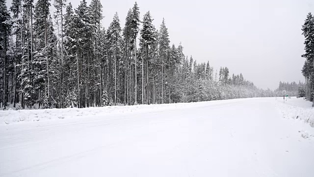 大雪期间，一辆汽车在森林路上经过视频素材