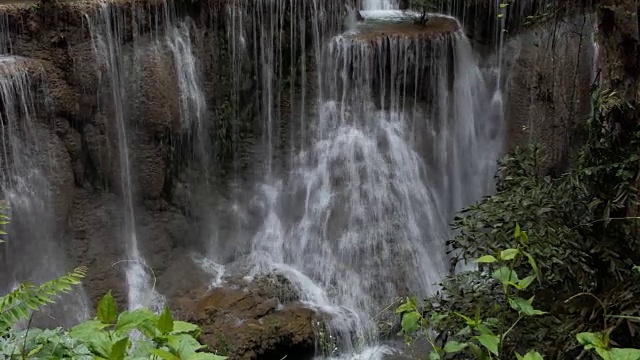 森林中的淡水瀑布视频素材