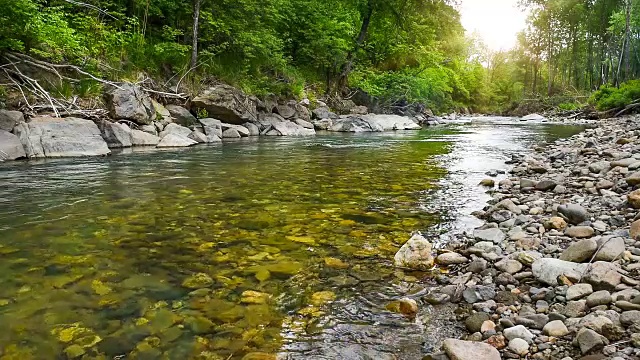 寒冷的山溪在森林中流淌视频下载