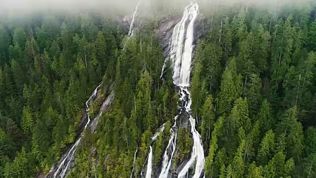 从瀑布飞离揭示大片雨林视频素材