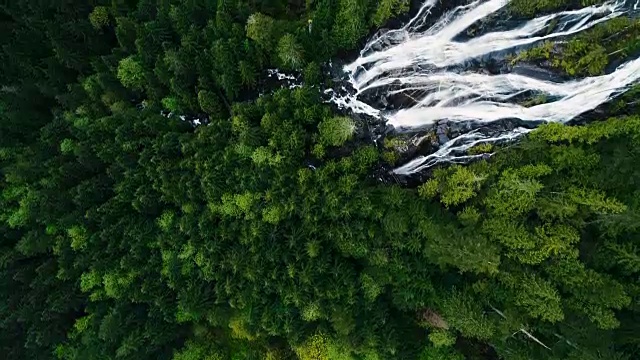 鸟瞰空中在常绿雨林树冠巨大的瀑布视频素材