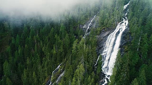 瀑布温带雨林气候雾蒸汽上升侧角鸟瞰图视频素材