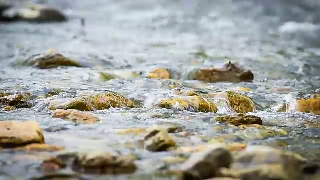 寒冷的山溪在森林中流淌视频下载