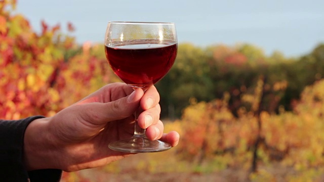 葡萄酒商和一杯葡萄酒。秋天品酒视频素材