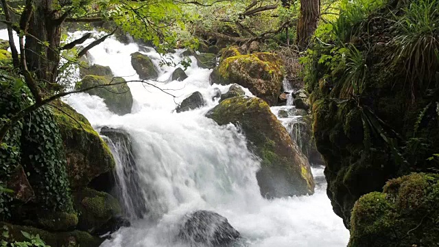 潮湿的热带森林中的瀑布。山河中湍急的小溪。干净的水上升起泡沫。一股带有浪花的激流慢动作平面视频视频素材