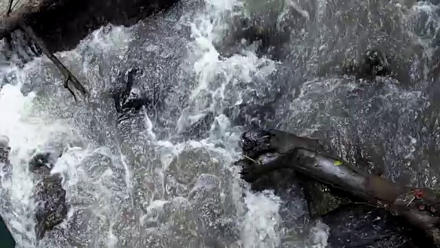 热带森林中一条小河中水流的缓慢运动。视频素材