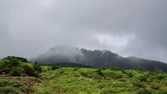 在济州岛的Hallasan山(联合国教科文组织世界遗产)看到雾中的Witseoreum(山丘)视频素材