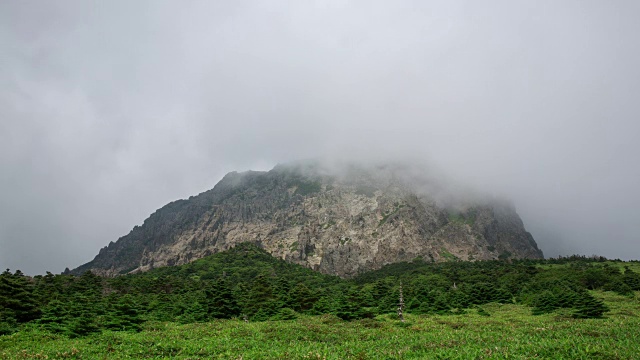 济州岛Hallasan山(联合国教科文组织世界遗产)的雾中的Witseoreum(山丘)视频素材