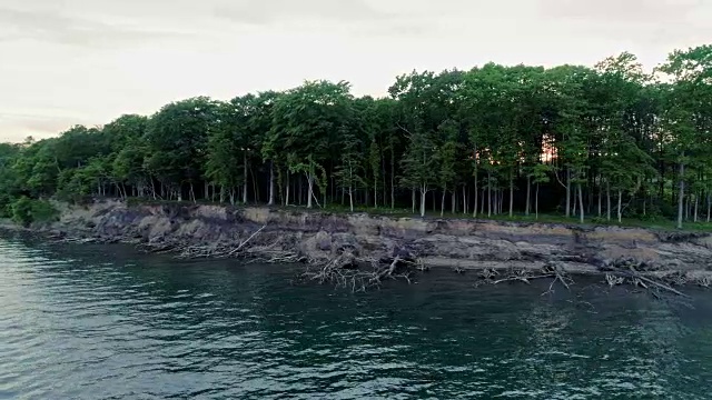 日德兰半岛沿海森林视频素材