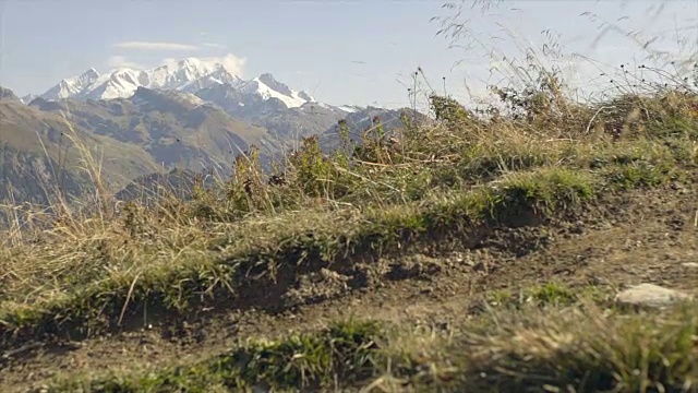 车轮和轮胎的特写在一个山地自行车道。视频素材