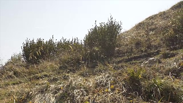 山地车在山里的一条小路上骑车下山。视频素材