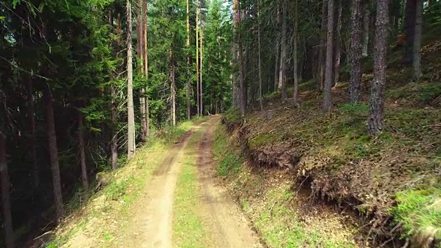 山林中的道路、小径、小径视频素材