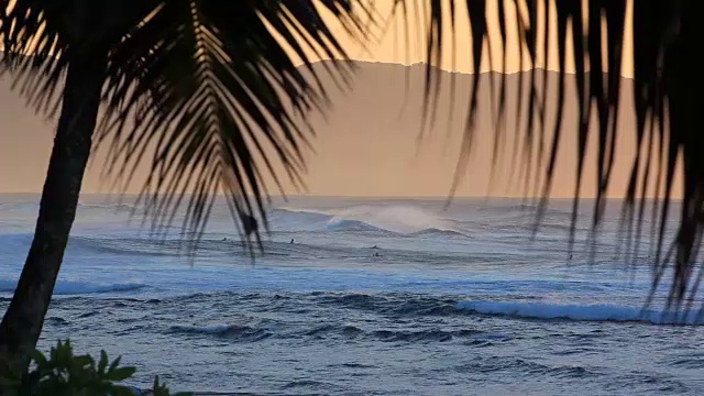 封锁:夏威夷瓦胡岛海滩的冲浪者视频素材