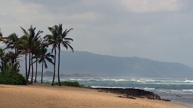 放大:夏威夷瓦胡岛迷人的海滩景色视频素材