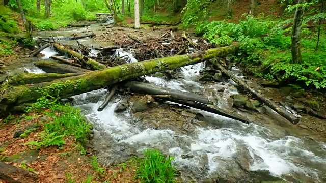 阿巴拉契亚山脉中一条色彩鲜艳的岩石河视频素材