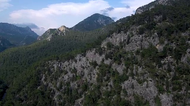 山顶森林和树木顶景视频素材