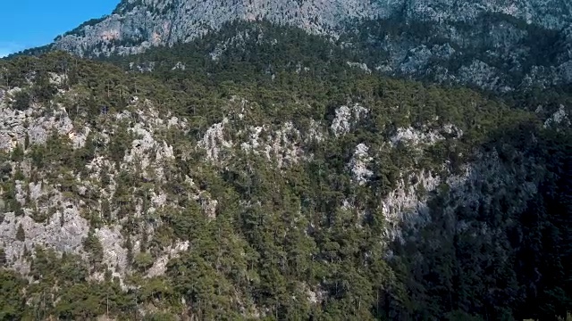 山顶森林和树木顶景视频素材