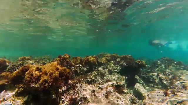 戴着通气管和面罩潜水的人视频素材