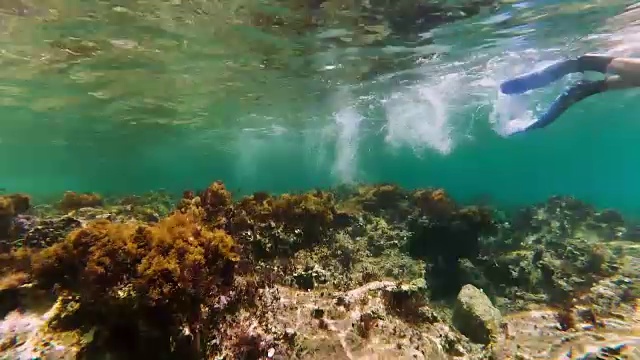 戴着通气管和面罩潜水的人视频素材