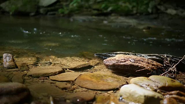 一个锁定拍摄的淡水浅溪ALT -深褐色版本视频素材