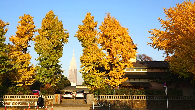 2017年11月29日下午，日本东京涩谷三桥的东京骑行俱乐部设施内，NTT Docomo Tower (NTT代代木大厦)在秋叶中的银杏中穿行。自行车和行人在前面经过。视频素材