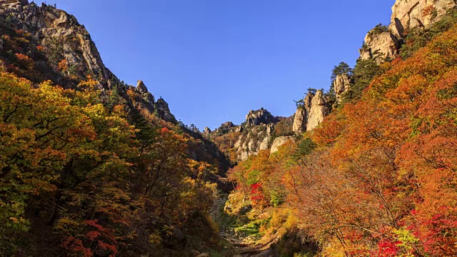 休林哥尔(山谷)在秋天彩色的山视频素材