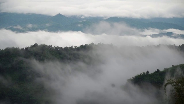 雾视频素材