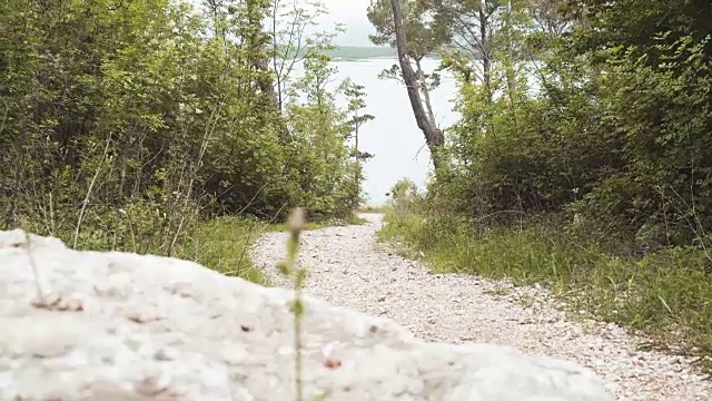 背骑山地车下山视频素材